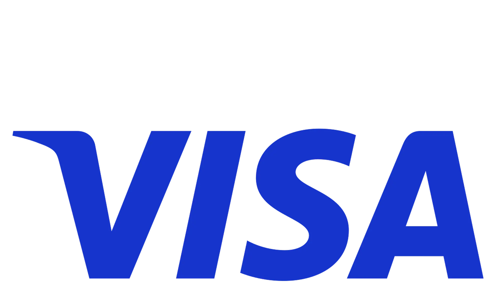 Visa partner logo